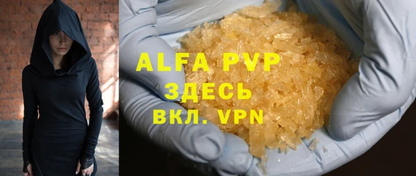 индика Балахна