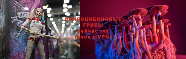 Альфа ПВП Балабаново