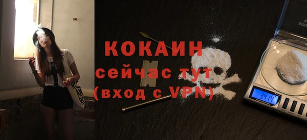 индика Балахна