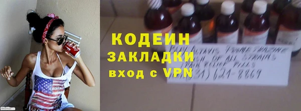 индика Балахна
