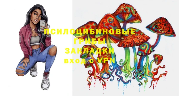 индика Балахна
