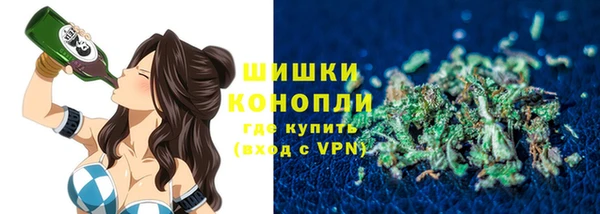 индика Балахна