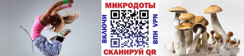 Галлюциногенные грибы Psilocybine cubensis  Новопавловск 